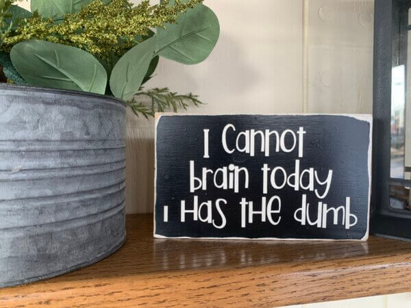 I Cannot Brain Today I Has The Dumb Sign