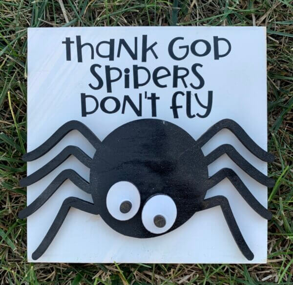 Thank God Spiders Don't Fly Sign